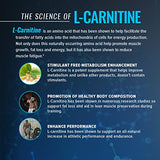 RSP Liquid L-Carnitine 1500